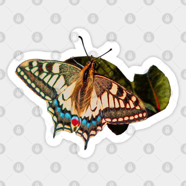 Swallowtail Butterfly Sticker by dalyndigaital2@gmail.com